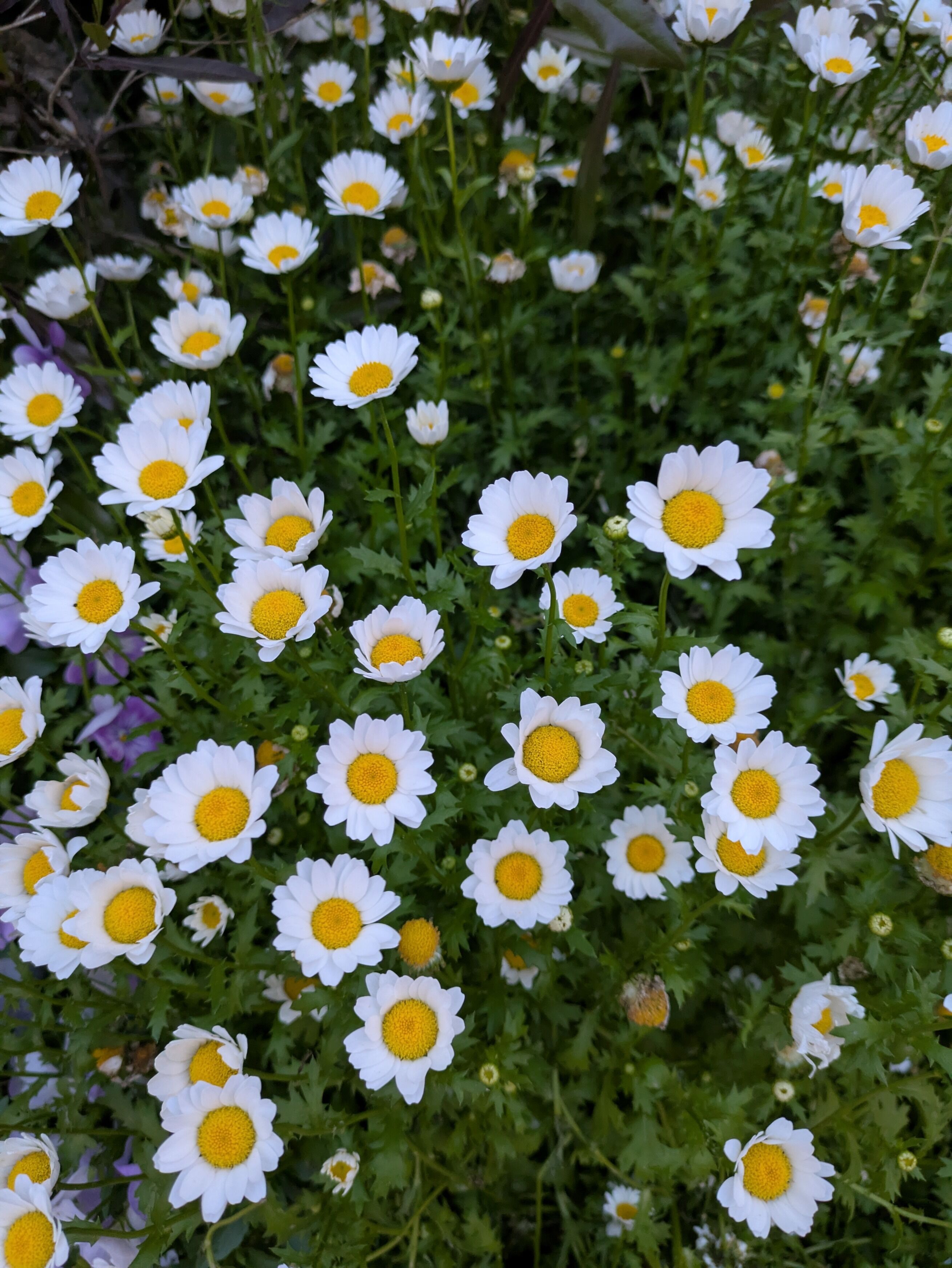 おはようございます