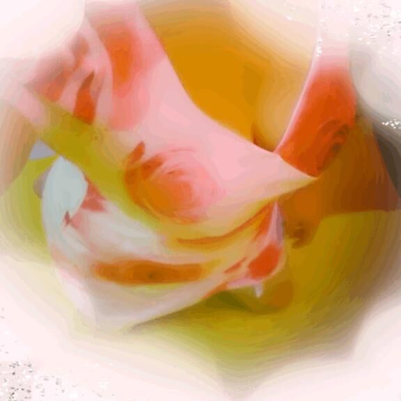 お休みです