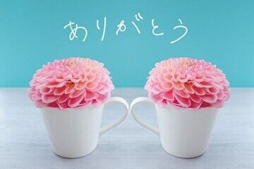 また遊んでね！