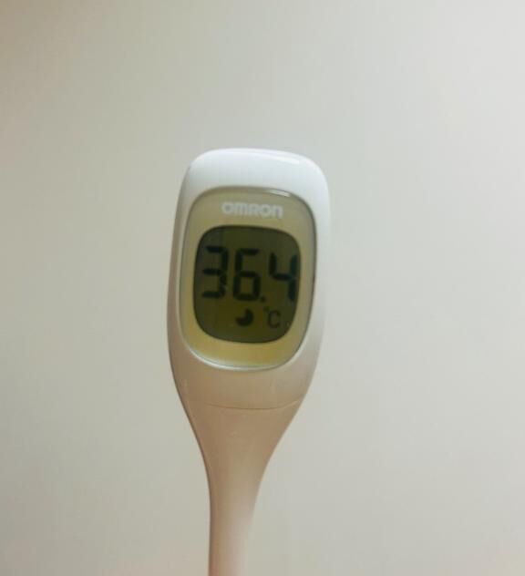 今日の体温
