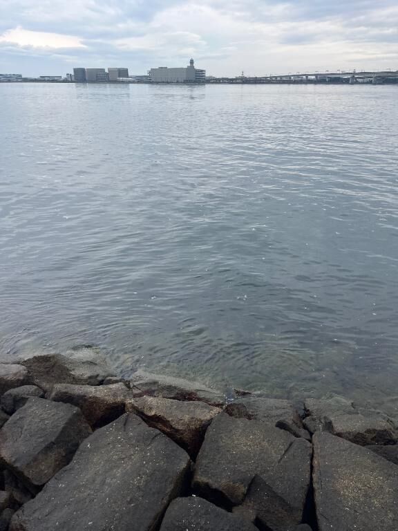 海&#10024;