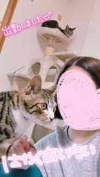 毎日昼寝日和