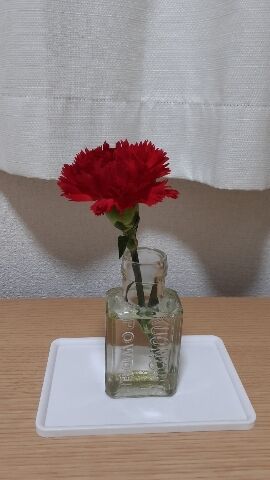 １日遅れの母の日&#9825;