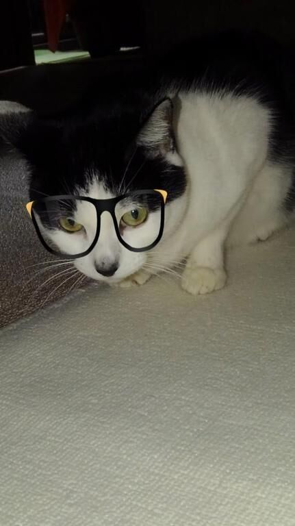 コンクラベ