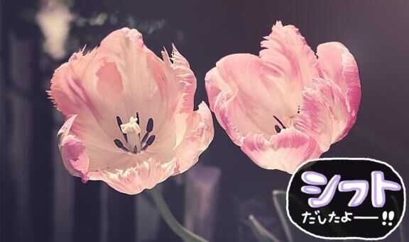 シフトです♪