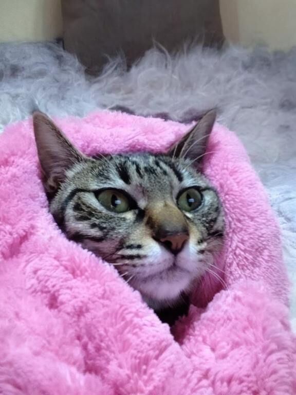 おはようございます