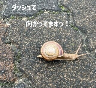 向かってます