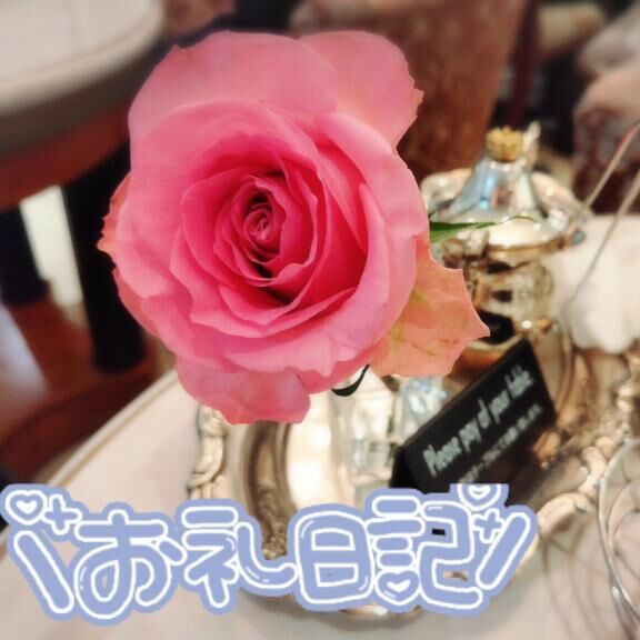 昨日の夜のお礼