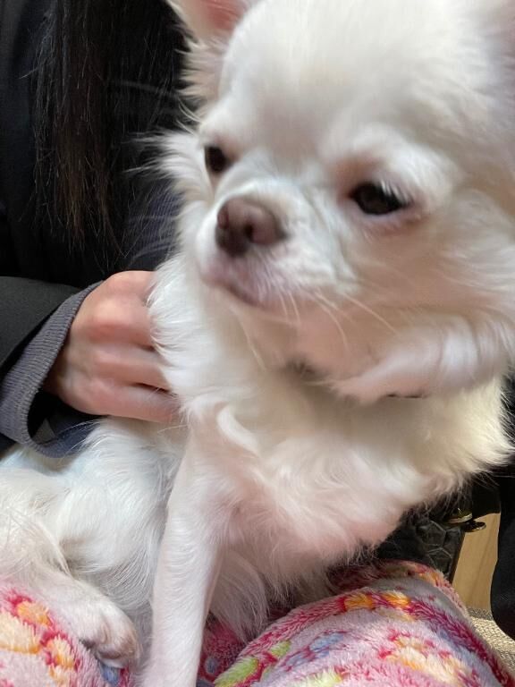 念願の&#129401;&#128054;