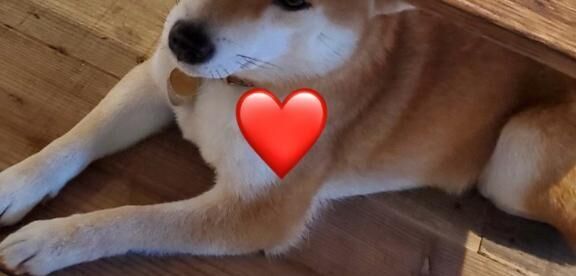 [お題]from:守りたいこの寝顔さん