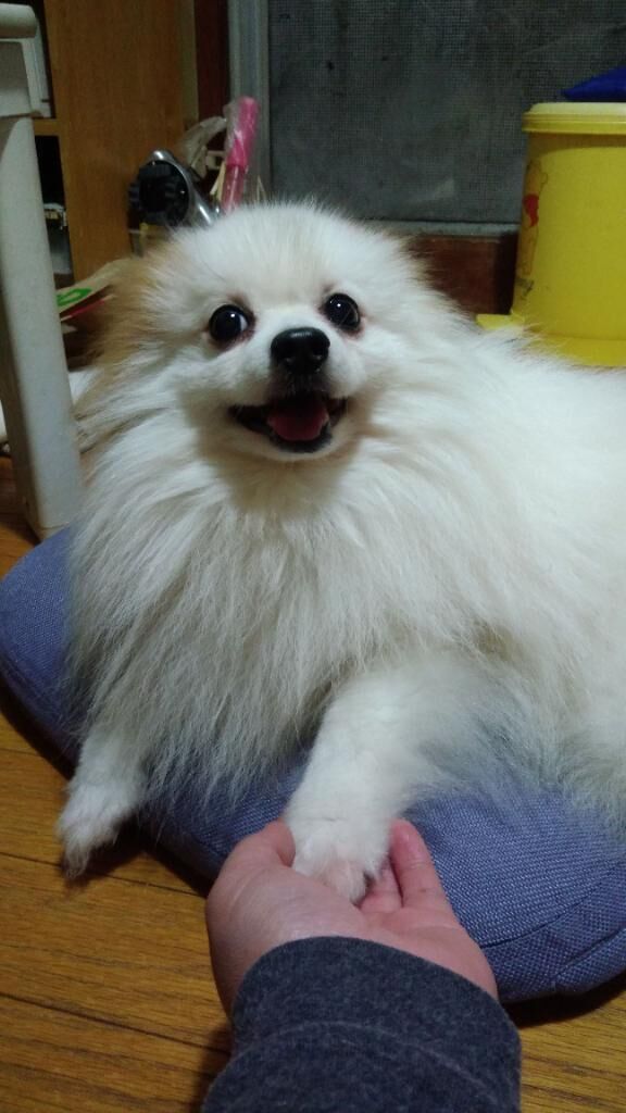 [お題]from:守りたいこの寝顔さん