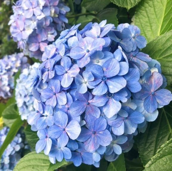 出勤しています&#9825;