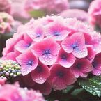延長したよ
