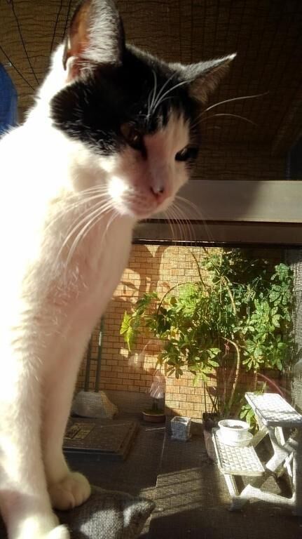 右足さんよろしくね♪左足さんがんばろうね