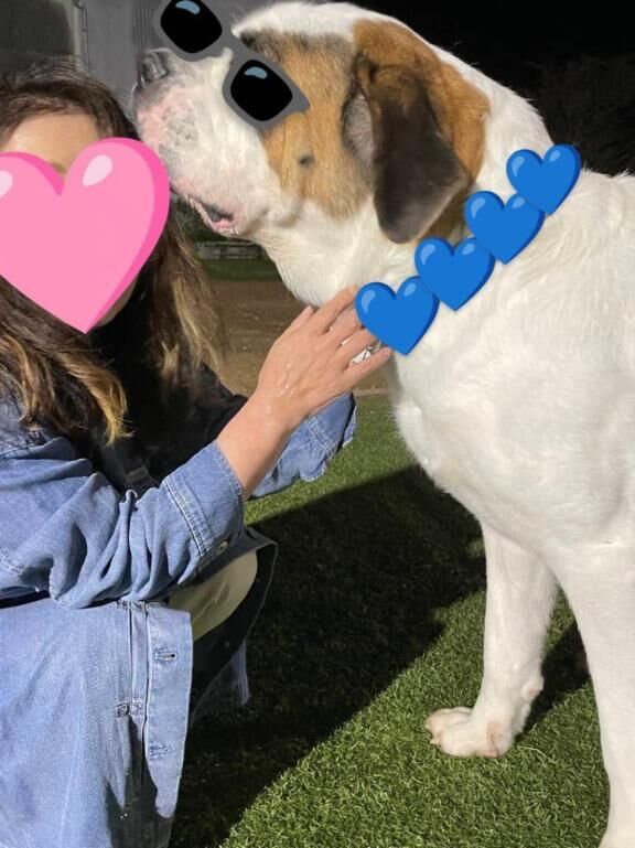 愛犬の日&#9825;&#9825;&#9825;