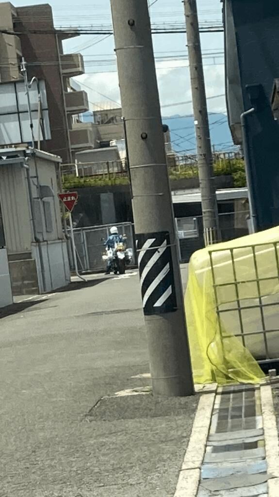 トラウマ