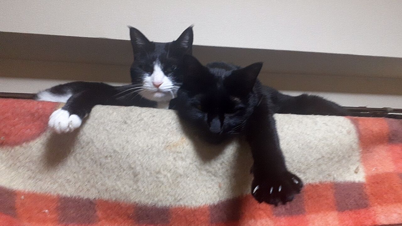 ダラダラ