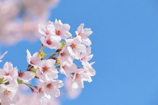 [お題]  おくすり