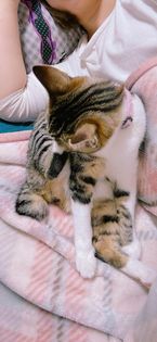 おはようございます