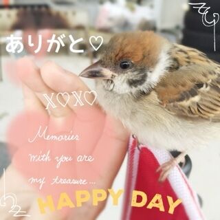 SpecialThanks♡