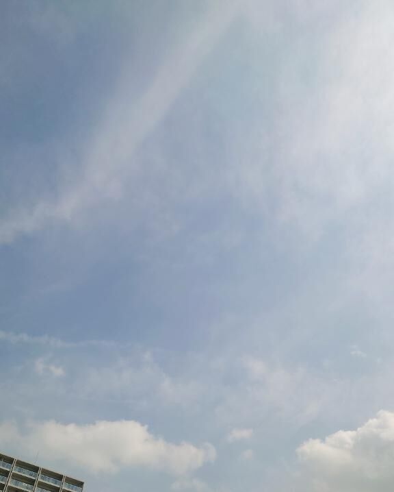 良きお天気☀️