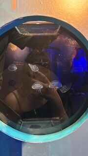出勤