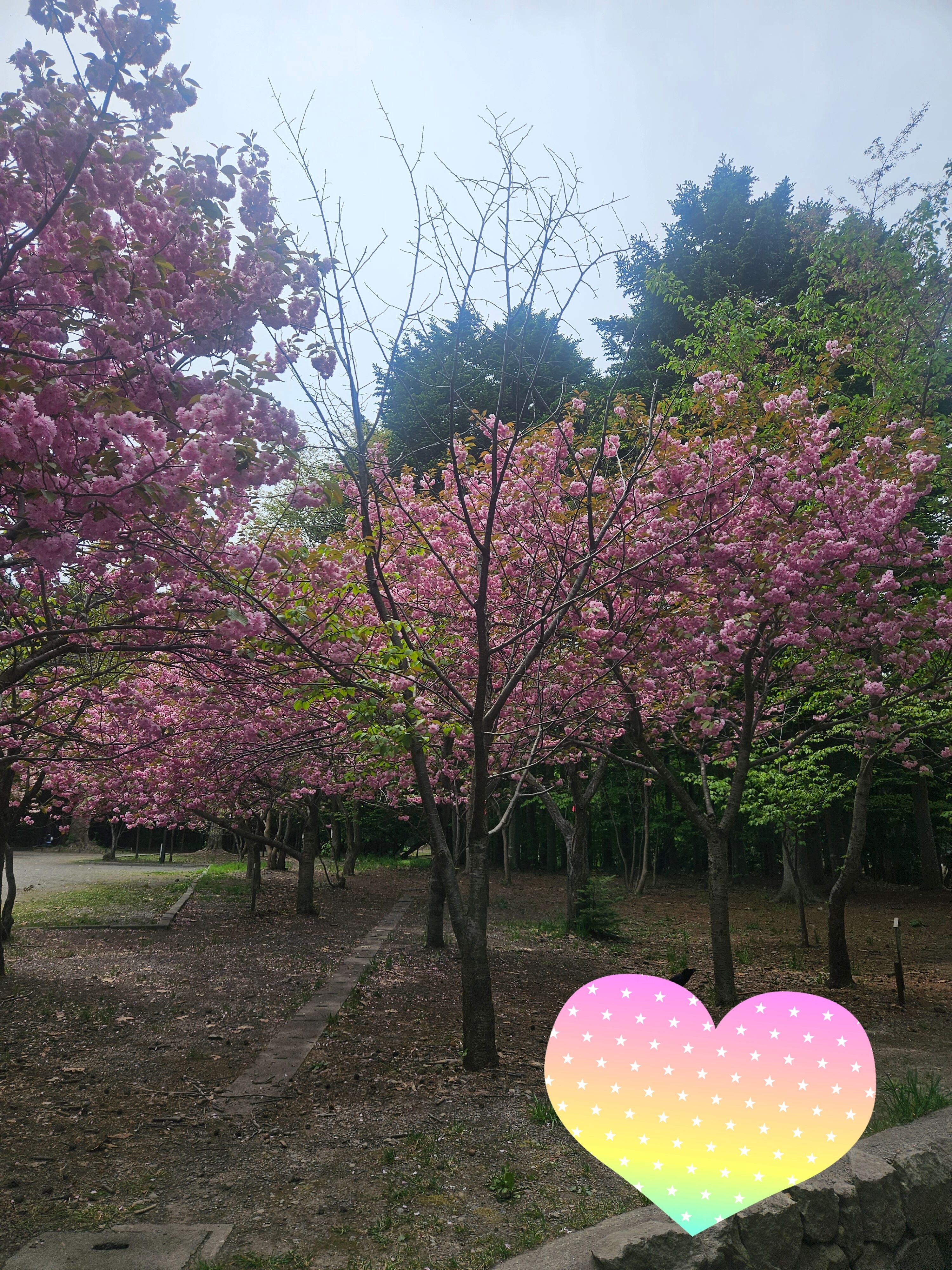 &#11088;神宮&#11088;