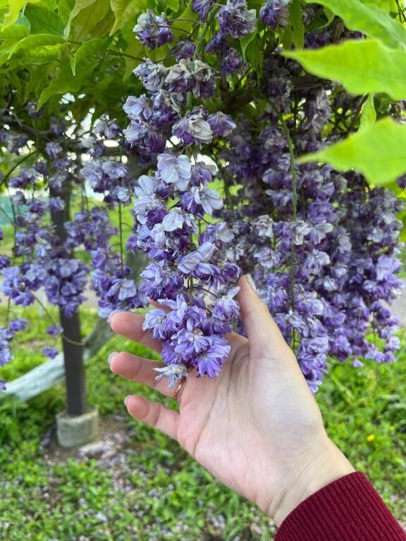 今日も&#128150;