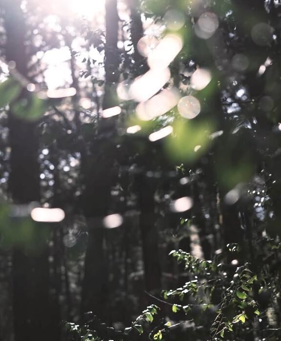 なんだか躍動感あふれる瞬間ですね&#127793;