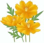 5月15日(木) 21:30〜 殿方様♡