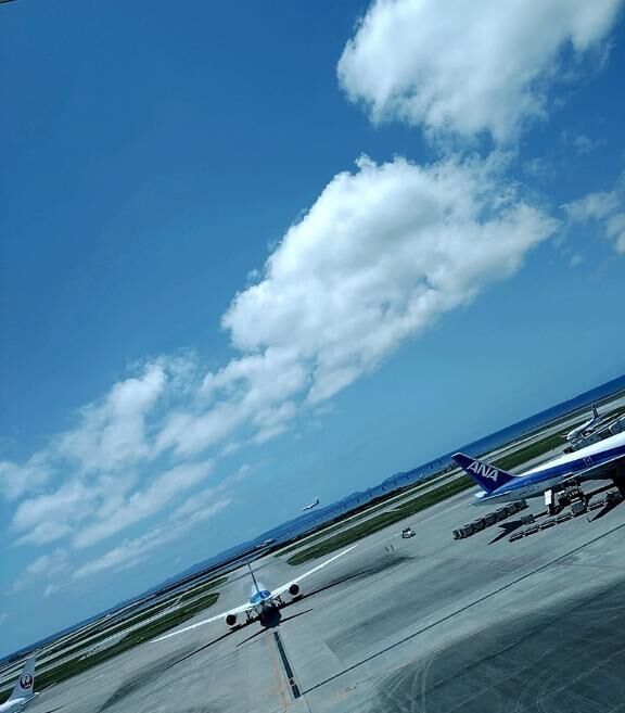 ✨毎日平和で有り難いです