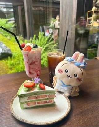 おはようございます