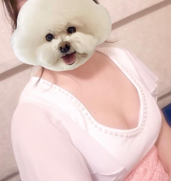 ごめんなさい
