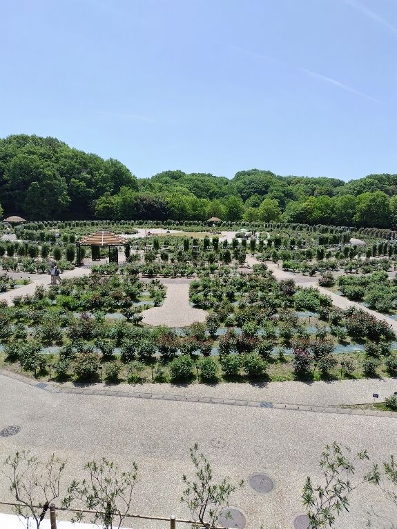 次回の出勤は木曜日☆