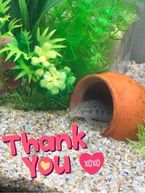 SpecialThanks♡