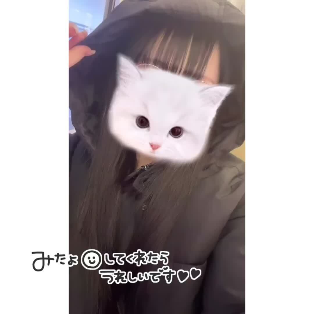 &#9825;&#127539;情報&#9825;