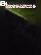 気になるっちゃなる樂