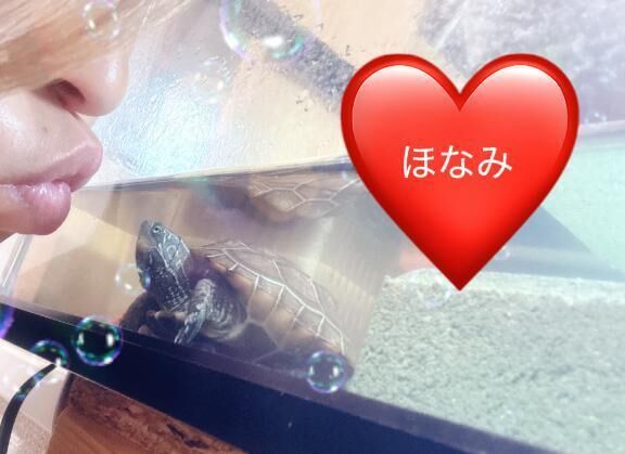 癒し①