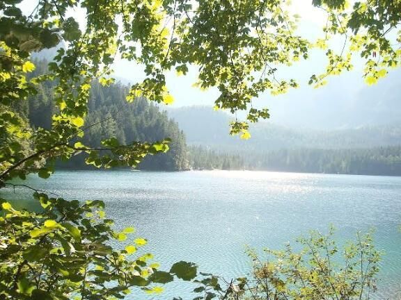 5月17日は、高血圧の日みたいです。気をつけましょう☺️