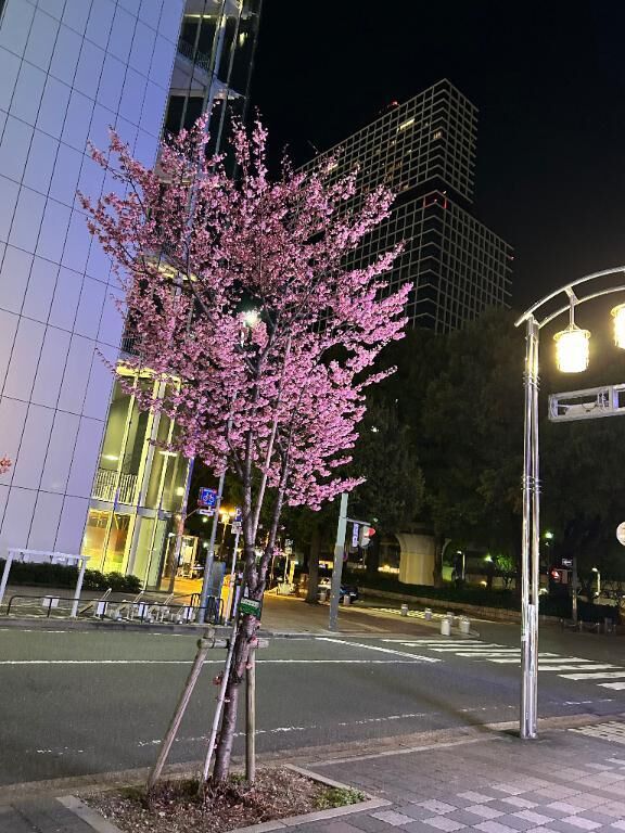 到着