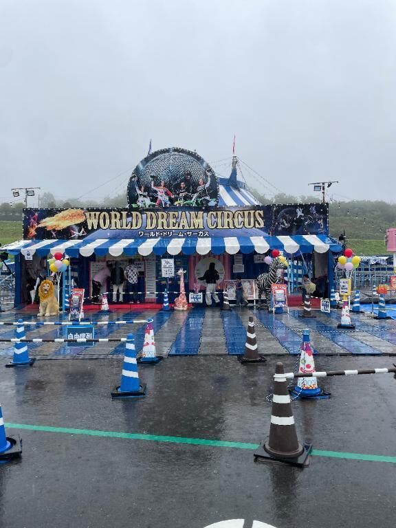 サーカス&#127914;