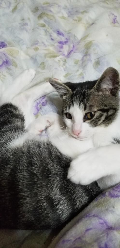 こんにちは(♡♡♡♡♡♡♡)