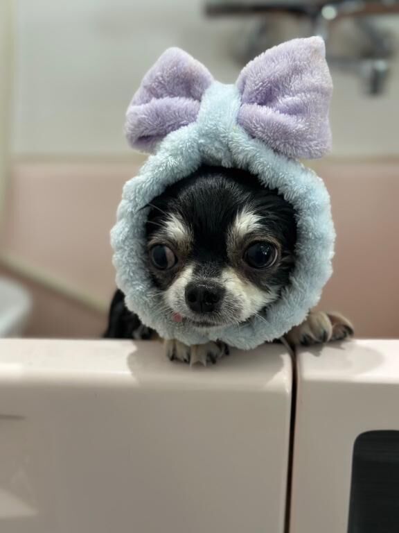 あんちゃんルーティン