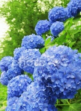 突然ですが