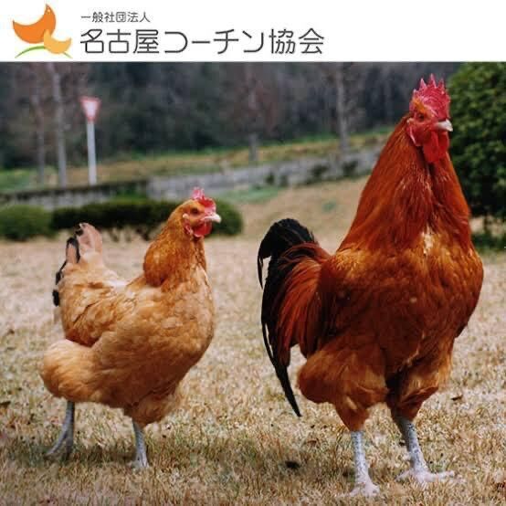 イケメンすぎるやろ&#8252;&#65039;