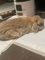 おやすみなさい♡