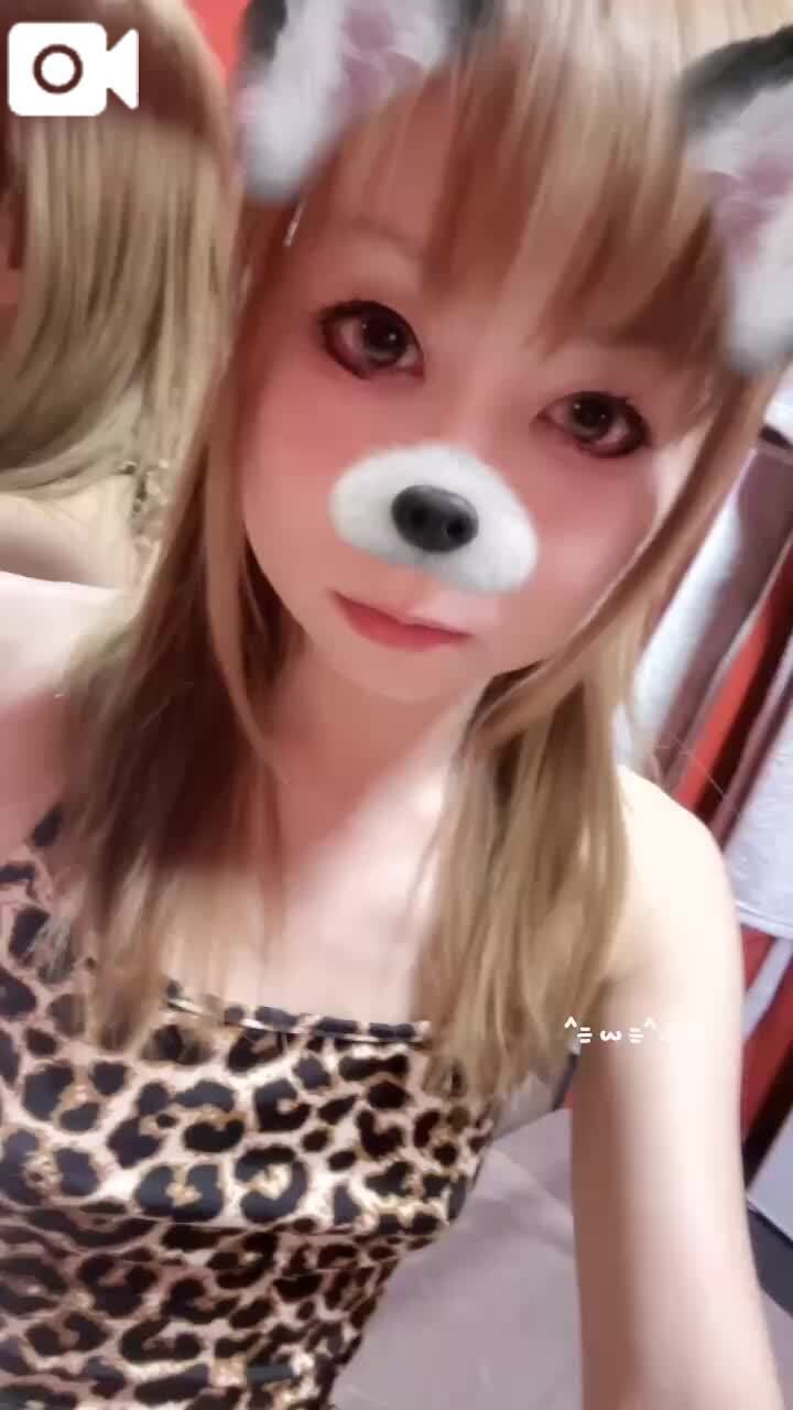 おはようございます&#127774;