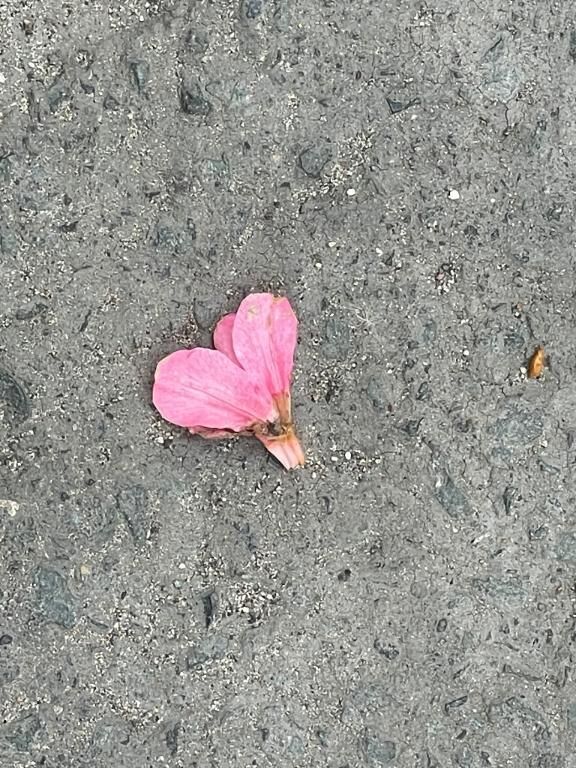 はいっても