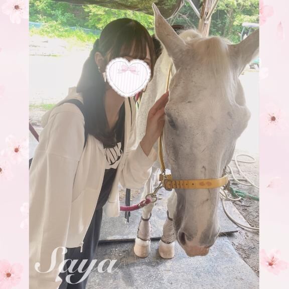 シランケドちゃんと結婚する