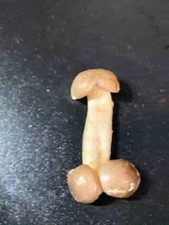 お疲れ様です